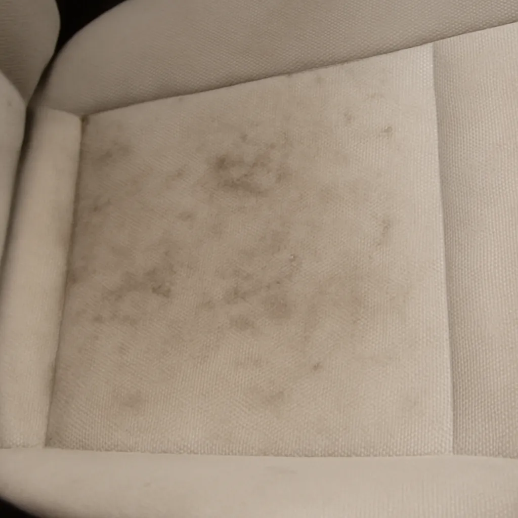 Before Interior Detailing